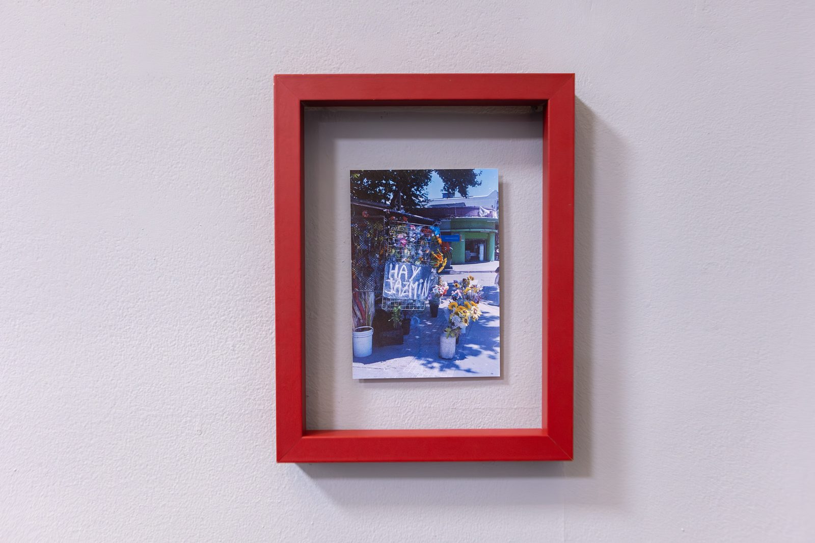 Hay Jazmín, inauguración, foto 14