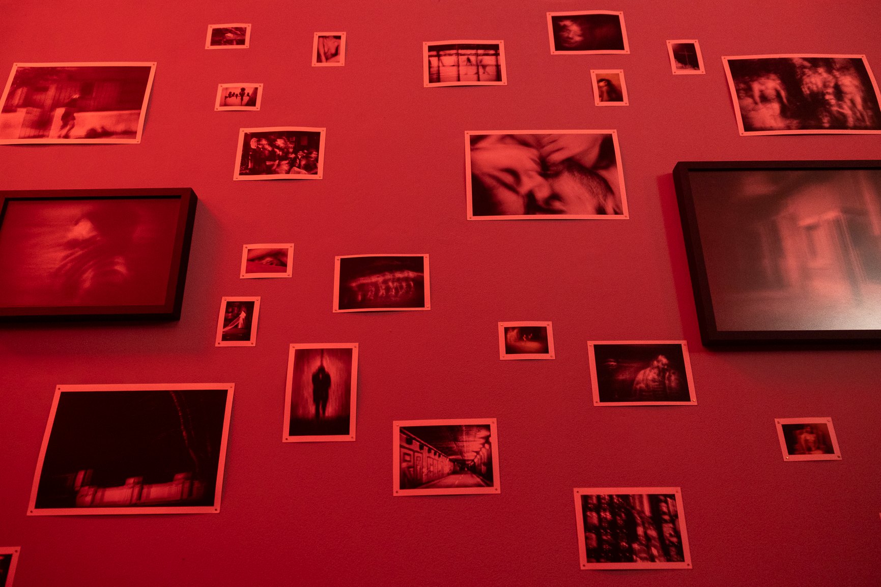 Muestra Falenas en Sala Arbus